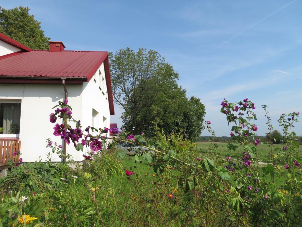 Agrocamp Villa Pawlowka  Exterior foto